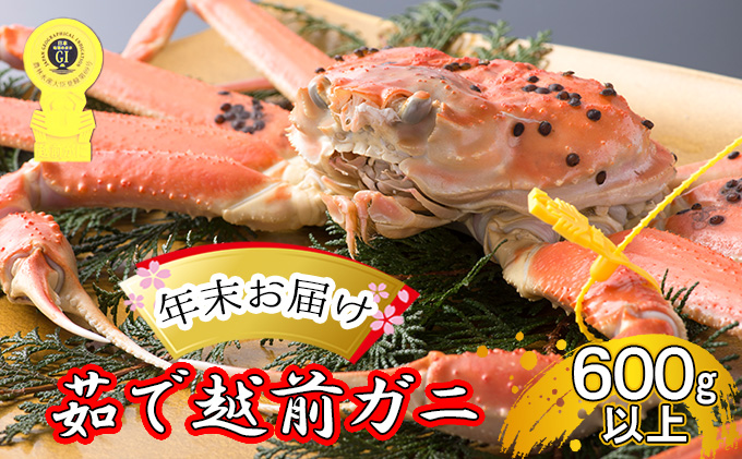 【福井県若狭町】茹で 越前ガニ 約600g以上 1杯 年末配送 食通もうなる本場の味をぜひ、ご堪能ください 越前かに 蟹 カニ かに ボイルカニ ボイル蟹 ポーション ズワイガニ ずわい蟹 海鮮 福井 福井県 若狭町