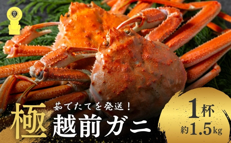 茹で越前ガニ 極！【期間限定】食通もうなる本場の味をぜひ、ご堪能ください。約1.5kg以上（極）越前がに 越前かに 越前カニ カニ ボイルガニ ずわい蟹 ずわいガニ ズワイガニ 蟹 