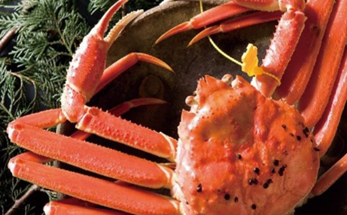 茹で越前ガニ【期間限定】食通もうなる本場の味をぜひ、ご堪能ください。セイコガニセット 約1.4kg＋セイコガニ3杯 越前がに 越前かに 越前カニ カニ ボイルガニ 蟹 