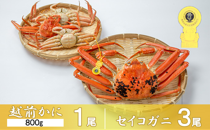 茹で越前ガニ【期間限定】食通もうなる本場の味をぜひ、ご堪能ください。越前ガニ 約800g＋セイコガニ3杯 越前がに 越前かに 越前カニ カニ ボイルガニ 蟹 