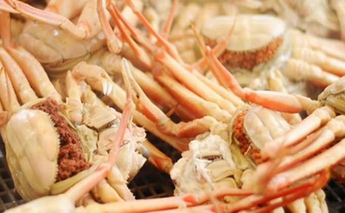 茹で越前ガニ【年末お届け】食通もうなる本場の味をぜひ、ご堪能ください。越前ガニ 約900g＋セイコガニ3杯 越前がに 越前かに 越前カニ カニ ボイルガニ 蟹 