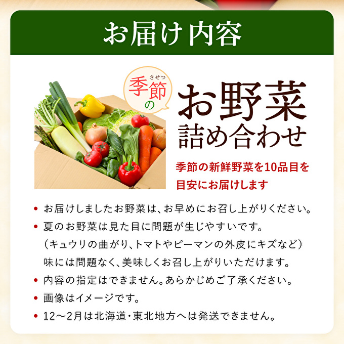 季節の野菜 セット 詰め合わせ 10品程度 野菜 野菜セット 旬の野菜 野菜詰め合わせ 野菜詰め合わせセット 新鮮野菜 新鮮野菜詰め合わせ 新鮮 旬