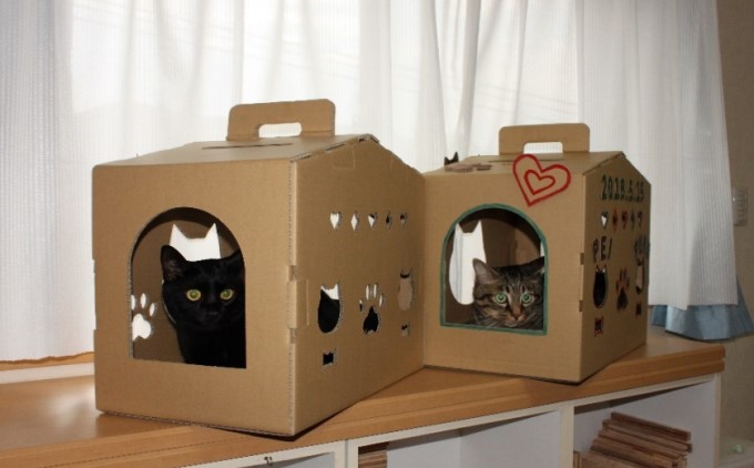 ダンボール ねこハウス ペット用品 猫の顔 肉球の形 覗き窓 かわいい 爪とぎ付き ストレスケア デコレーション 耐久性 安定性 簡単 組立 解体 