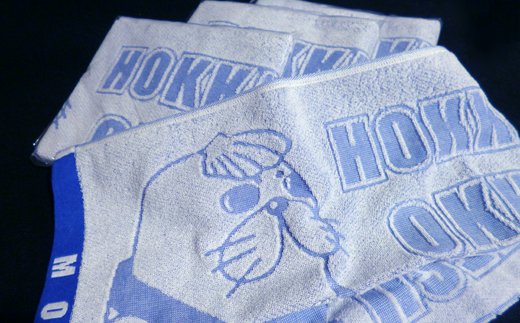 �y�k�C����ʎs�z16-43 ���L�����䑾�O�b�Y(�^�I��[�u���[]4��)