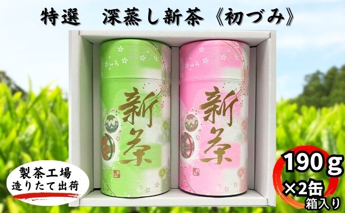 特選　深蒸し新茶《初づみ》貼缶　箱ギフト（190g×2缶）