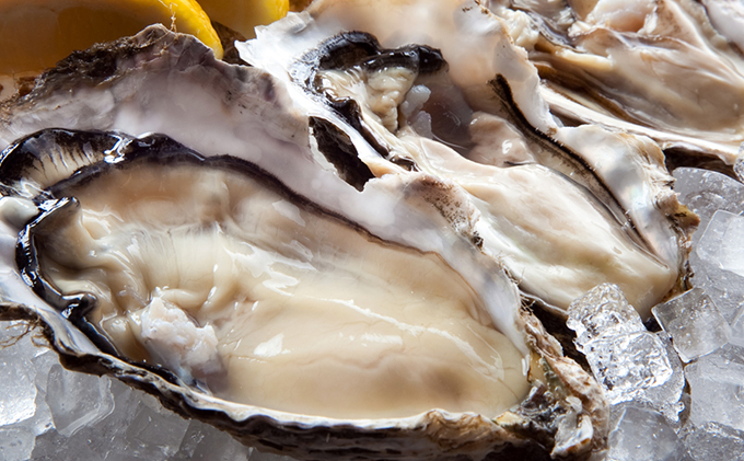 北海道厚岸のブランド牡蠣＆北海道食材贅沢コース（2名様用）お食事券 チケット まるえもん 鹿肉 牛肉 いくら 牧場 牛乳 名物料理 堪能 選べる 牡蠣料理 肉料理 