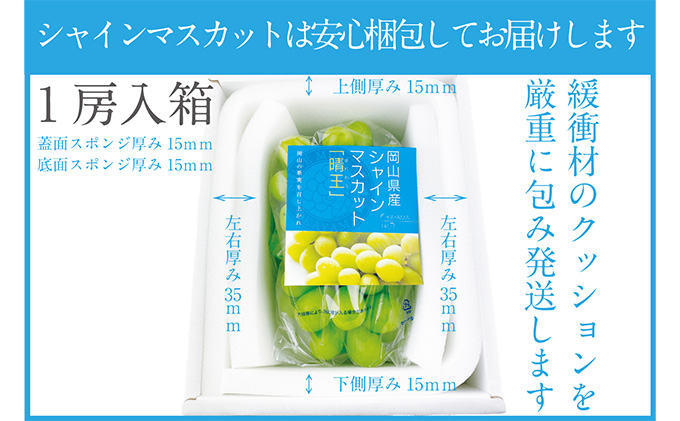 ぶどう 2026年 先行予約 シャイン マスカット 晴王 1房 約670g 晴れの国 おかやま 岡山県産 フルーツ王国 果物王国 