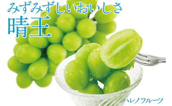 ぶどう 2026年 先行予約 シャイン マスカット 晴王 1房 約670g 晴れの国 おかやま 岡山県産 フルーツ王国 果物王国 