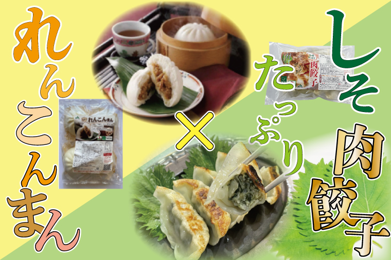 茨城県行方市のふるさと納税 AE-50　【ローズポーク使用】JA・れんこんまん（4個）＋しそたっぷり肉餃子（30個）セット