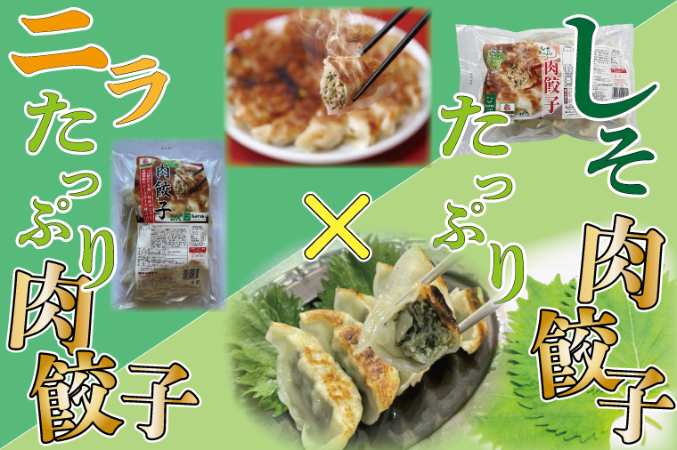 茨城県行方市のふるさと納税 AE-51【ローズポーク使用】JA・しそたっぷり肉餃子（30個）＆ニラたっぷり肉餃子（30個）セット