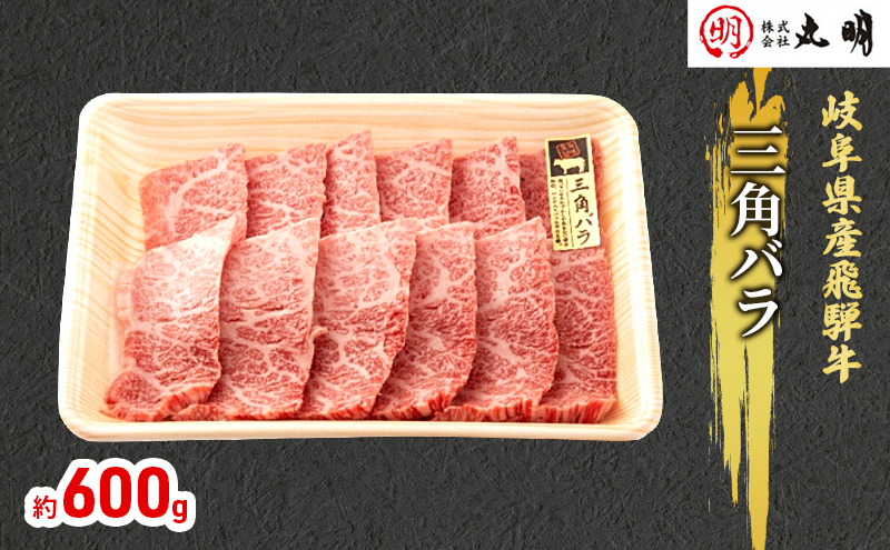 【岐阜県海津市】飛騨牛 希少部位 三角バラ 焼肉 セット 600g 牛肉 焼き肉 お肉 冷凍 バーベキュー BBQ