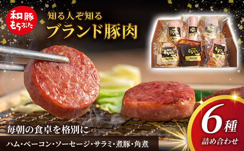 【宮城県大河原町】もちぶた 加工肉 6種 詰め合わせ セット ハム ソーセージ 角煮 ベーコン 煮豚 和豚 もち豚 豚肉 ポーク 肉 豚 ぶた ブタ 豚ロース 加工肉 加工品 レトルト レトルト食品 アウトドア スペシャルキャンペーン