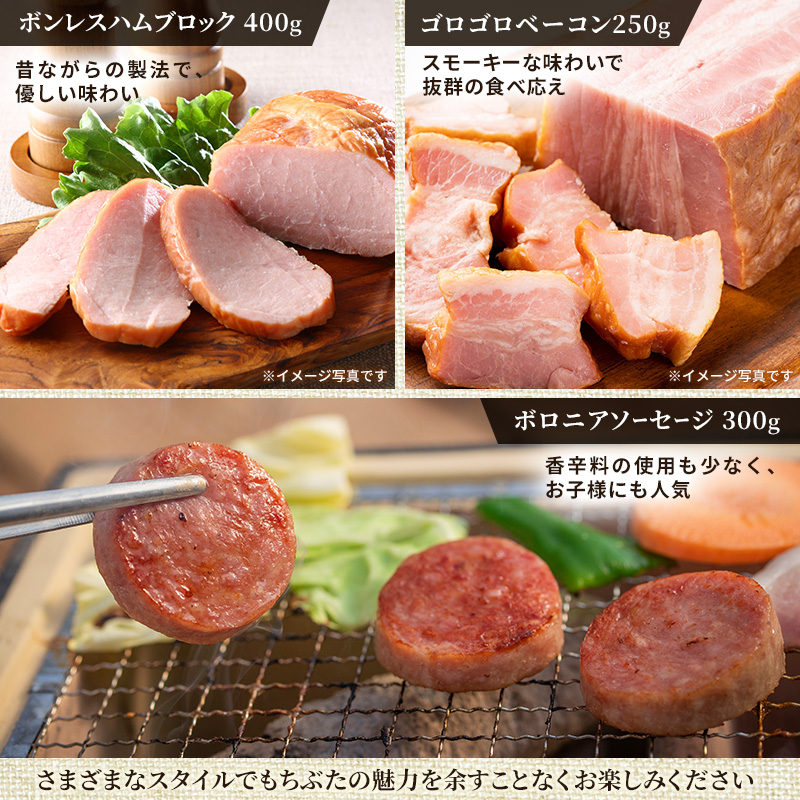 もちぶた 加工肉 6種 詰め合わせ セット ハム ソーセージ 角煮 ベーコン 煮豚 和豚 もち豚 豚肉 ポーク 肉 豚 ぶた ブタ 豚ロース 加工肉 加工品 レトルト レトルト食品 アウトドア スペシャルキャンペーン 