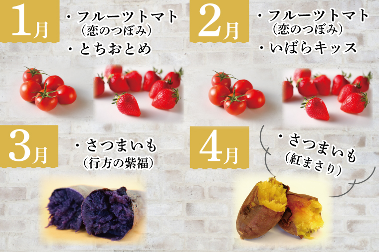 AE-56【6ヶ月定期便】JAが選ぶ！さつまいも好きのための行方まるごと旬鮮便