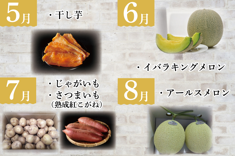 AE-56【6ヶ月定期便】JAが選ぶ！さつまいも好きのための行方まるごと旬鮮便