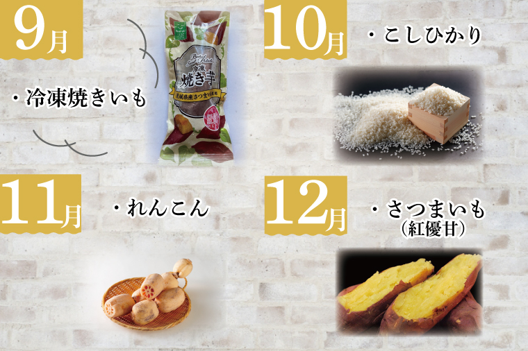 AE-56【6ヶ月定期便】JAが選ぶ！さつまいも好きのための行方まるごと旬鮮便