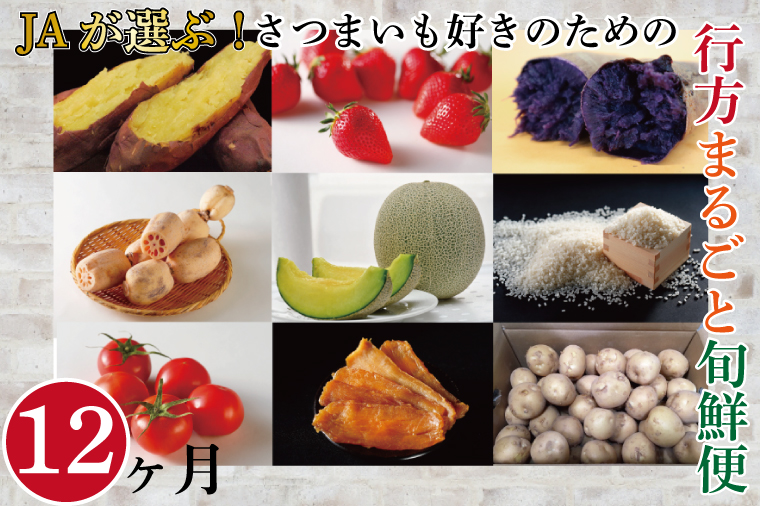 �y��錧�s���s�zAE-55�y12��������ցzJA���I�ԁI���܂����D���̂��߂̍s���܂邲�Ə{�N��