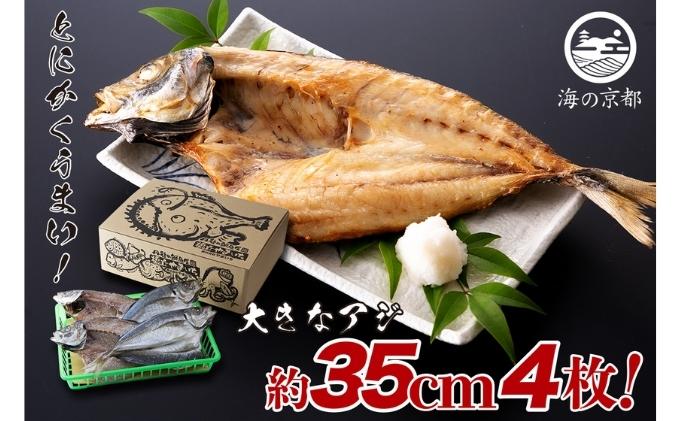 【京都府宮津市】大きな大きなアジ一夜干し (大:35cm程) 魚貝類 魚 一夜干し あじ アジ 鯵 大きめ 干物 ひもの セット 日本酒