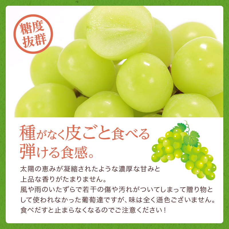岡山県玉野市のふるさと納税 ぶどう 2025年 先行予約 ご家庭用 シャイン マスカット 約2kg 糖度抜群！ 【9月上旬～順次発送分】 ブドウ 葡萄  岡山県産 国産 フルーツ 果物 果物類