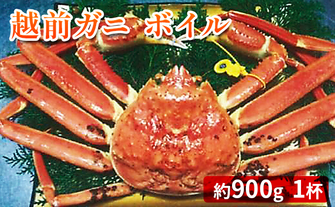 【福井県若狭町】越前ガニ ボイル 約900g ズワイガニ かに 海鮮 海産物 海の幸 魚介 魚介類 越前かに 越前カニ 越前がに ずわいがに ずわい蟹 カニ 蟹 ボイルガニ 冷蔵 冷蔵配送 福井県 福井 若狭町 若狭