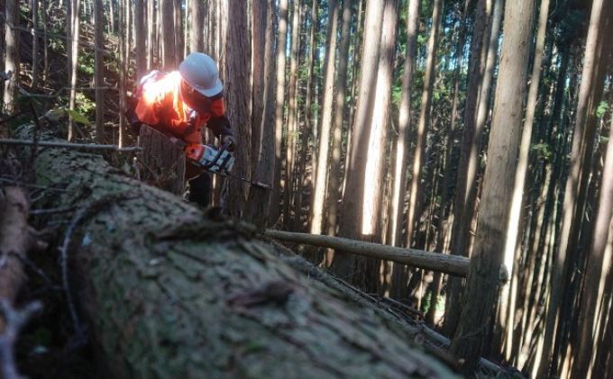 京都府南山城村のふるさと納税 【アウトドア～キャンプ・BBQに！～】薪（針葉樹）約9kg・25cm アウトドア用品 キャンプ用品 南山城村産 針葉樹の薪 コンパクト 本格的 焚火 焚き火用 ソロキャン デイキャンプ