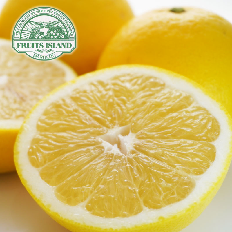 先行予約 訳あり 美生柑 みしょうかん 約5kg 河内晩柑 不揃い 大小ミックス 傷あり ばんかん フルーツ 果物 くだもの 文旦 晩生柑 厳選 愛媛 みかん 蜜柑 愛南 ご当地 ブランド 