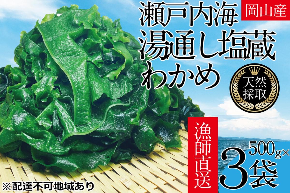 yR˓szʂ ˓ 킩 500g×3܁yR ˓C VR z Y F N X`  T_