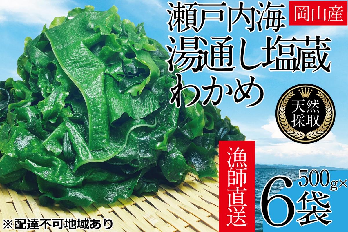 湯通し塩蔵 瀬戸内 わかめ 500g×6袋【岡山 瀬戸内海 天然 塩蔵】 無添加 無着色 健康 味噌汁 炊き込み サラダ 