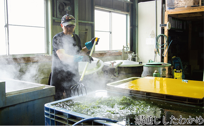 瀬戸内で採れた島磯香る わかめ 22g×7袋と ひじき 28g×8袋 セット【岡山 瀬戸内海 鉄釜炊 天然】 鉄釜製法 鉄分 無添加 無着色 添加物不使用 