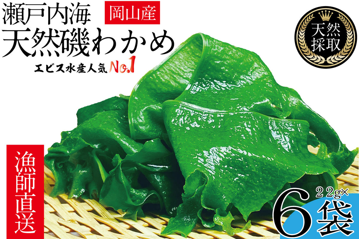 【岡山県瀬戸内市】風味豊かな 瀬戸内 わかめ 22g×6袋 エビス水産【岡山 瀬戸内海 天然 カットわかめ】 常備菜 無添加 無着色 味噌汁 炊き込み