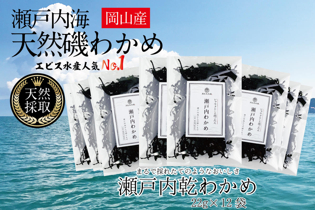 風味豊かな 瀬戸内 わかめ 22g×12袋 エビス水産【岡山 瀬戸内海 天然 カットわかめ】 常備菜 無添加 無着色 味噌汁 炊き込み 
