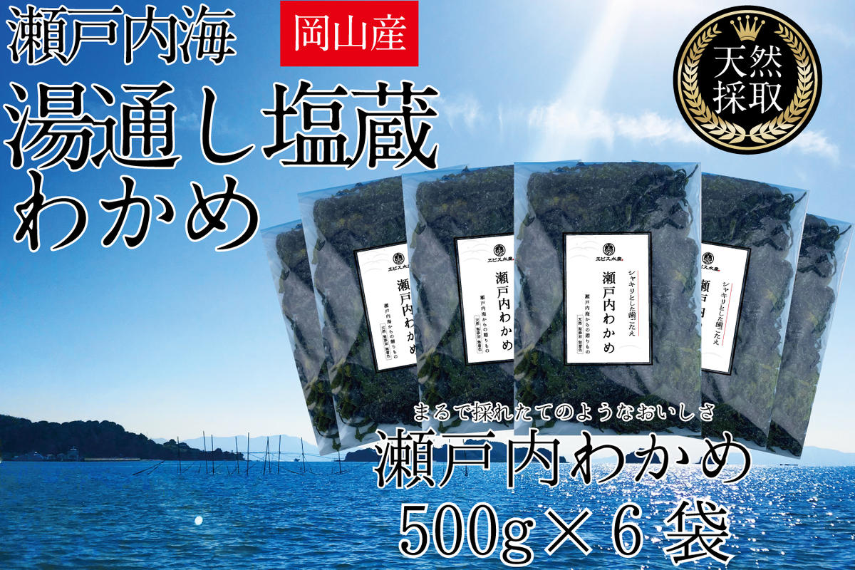湯通し塩蔵 瀬戸内 わかめ 500g×6袋【岡山 瀬戸内海 天然 塩蔵】 無添加 無着色 健康 味噌汁 炊き込み サラダ 