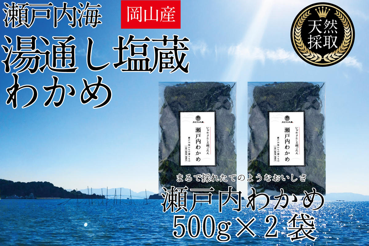湯通し塩蔵 瀬戸内 わかめ 500g×2袋【岡山 瀬戸内海 天然 塩蔵】 無添加 無着色 健康 味噌汁 炊き込み サラダ 