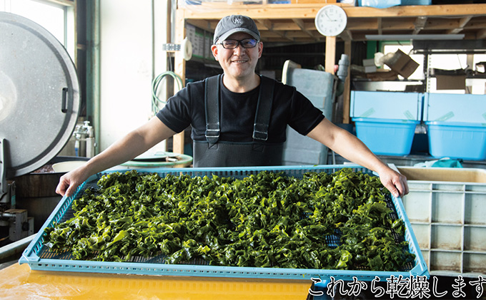 瀬戸内で採れた島磯香る わかめ 22g×3袋と ひじき 28g×3袋 セット【岡山 瀬戸内海 鉄釜炊 天然】 鉄釜製法 鉄分 無添加 無着色 添加物不使用 