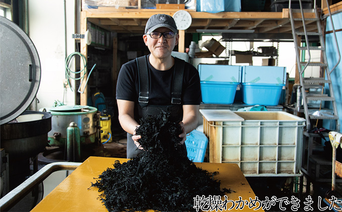 瀬戸内で採れた島磯香る わかめ 22g×7袋と ひじき 28g×8袋 セット【岡山 瀬戸内海 鉄釜炊 天然】 鉄釜製法 鉄分 無添加 無着色 添加物不使用 