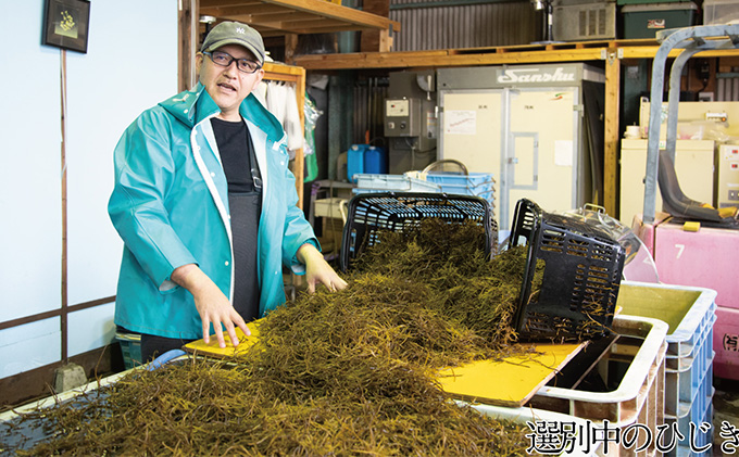 瀬戸内で採れた島磯香る わかめ 22g×1袋と ひじき 28g×2袋 セット【岡山 瀬戸内海 鉄釜炊 天然】 鉄釜製法 鉄分 無添加 無着色 添加物不使用 