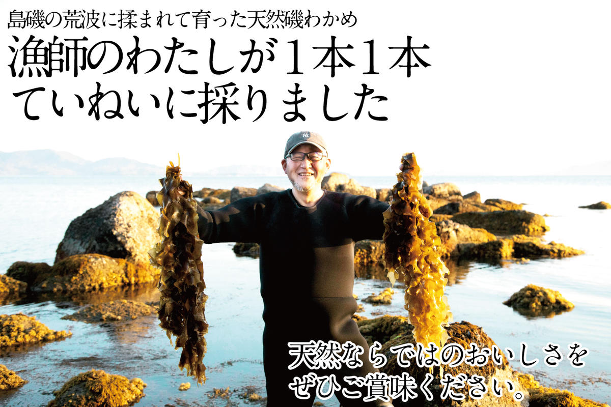 風味豊かな 瀬戸内 わかめ 22g×9袋 エビス水産【岡山 瀬戸内海 天然 カットわかめ】 常備菜 無添加 無着色 味噌汁 炊き込み 