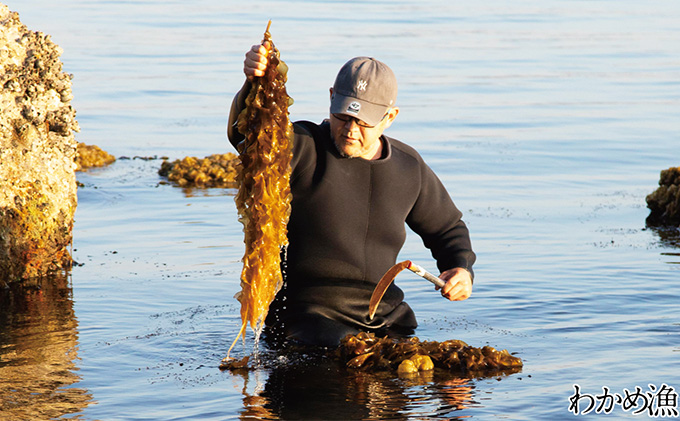 風味豊かな 瀬戸内 わかめ 22g×12袋 エビス水産【岡山 瀬戸内海 天然 カットわかめ】 常備菜 無添加 無着色 味噌汁 炊き込み 