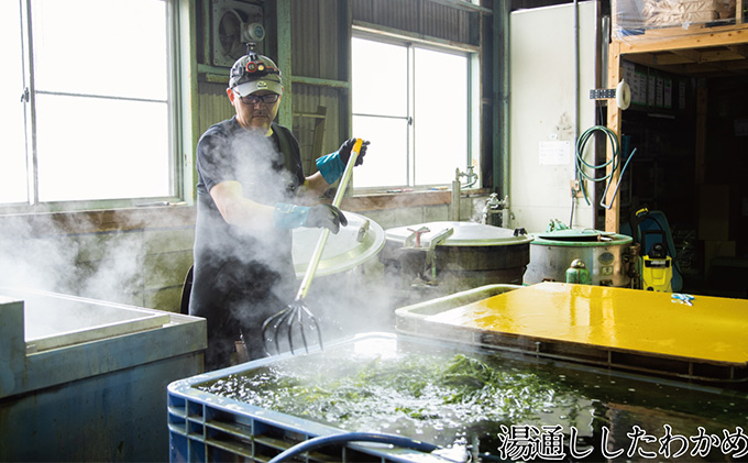 湯通し塩蔵 瀬戸内 わかめ 500g×2袋【岡山 瀬戸内海 天然 塩蔵】 無添加 無着色 健康 味噌汁 炊き込み サラダ 