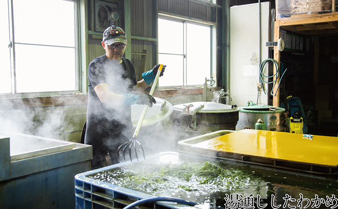 風味豊かな 瀬戸内 わかめ 22g×12袋 エビス水産【岡山 瀬戸内海 天然 カットわかめ】 常備菜 無添加 無着色 味噌汁 炊き込み 