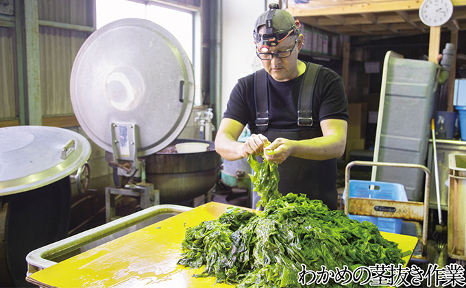 湯通し塩蔵 瀬戸内 わかめ 500g×6袋【岡山 瀬戸内海 天然 塩蔵】 無添加 無着色 健康 味噌汁 炊き込み サラダ 