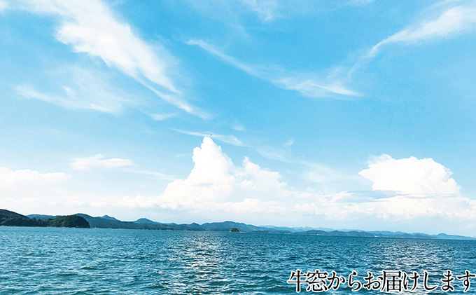 湯通し塩蔵 瀬戸内 わかめ 500g×6袋【岡山 瀬戸内海 天然 塩蔵】 無添加 無着色 健康 味噌汁 炊き込み サラダ 