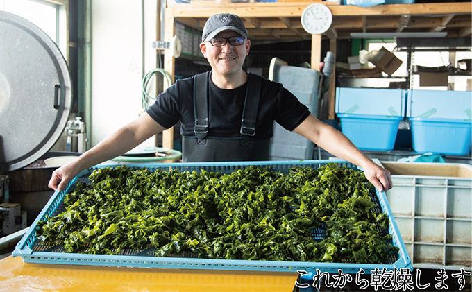 風味豊かな 瀬戸内 わかめ 22g×6袋 エビス水産【岡山 瀬戸内海 天然 カットわかめ】 常備菜 無添加 無着色 味噌汁 炊き込み 