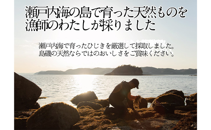 生炊きだからおいしい 瀬戸内 ひじき 28g×12袋 エビス水産【岡山 瀬戸内海 鉄釜炊 生炊 天然 乾燥】 ミネラル マグネシウム 健康志向 