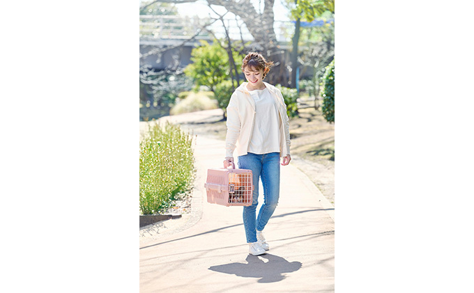 エアトラベルキャリー ATC-460 ピンク アイリスオーヤマ 雑貨 日用品 移動 旅行 便利 サイズ 超小型犬 大型犬 ペットハウス 開閉可能 取り外し フード 水銀イオン 配合 雑菌 増殖 