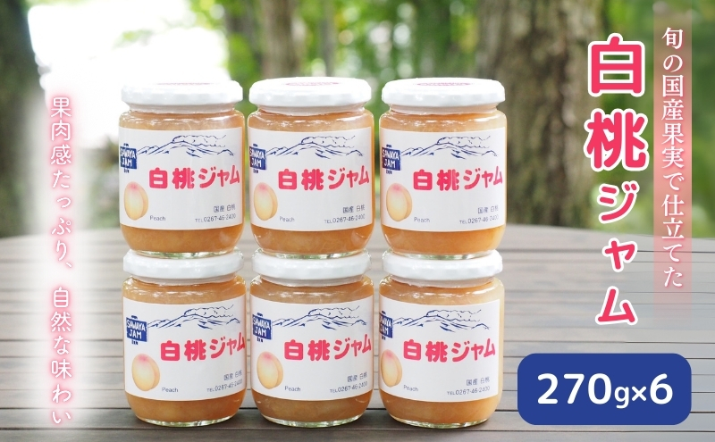 y쌧szW  270g 6{ Zbg MBY   Hi  s[` t[c ʕ