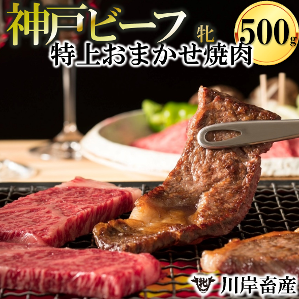 神戸牛 牝　特上 焼肉 おまかせセット（500g）【冷蔵】神戸ビーフ