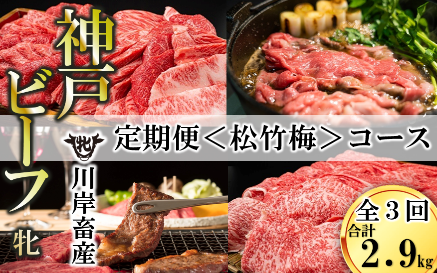 yɌeszy_ˋ/_˃r[t ցz_˃r[t𖡂킢sq|~rփR[Xiv2,900gj