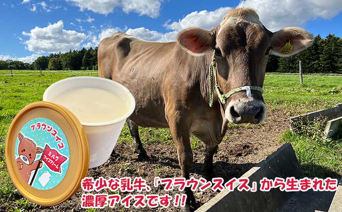 【卵不使用・無添加】ブラウンアイス（100ml）12個セット 北海道 南富良野町 アイス デザート おやつ 無添加 バニラアイス バニラ アイスクリーム 