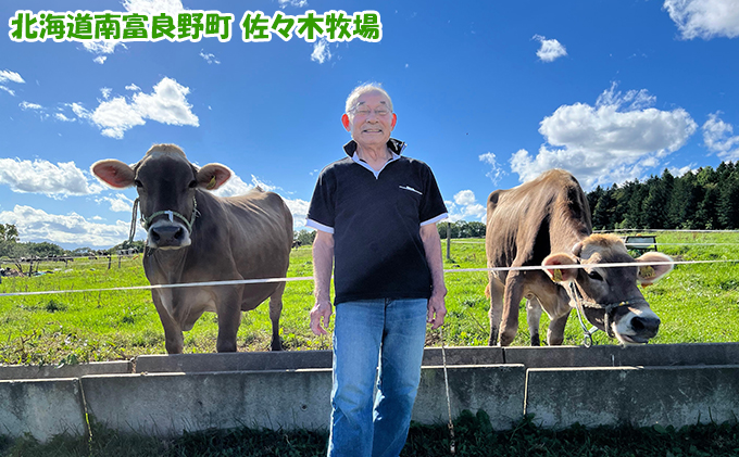 【卵不使用・無添加】ブラウンアイス（100ml）12個セット 北海道 南富良野町 アイス デザート おやつ 無添加 バニラアイス バニラ アイスクリーム 